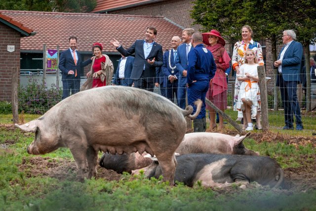 Koningspaar bij de Livar-kloostervarkens