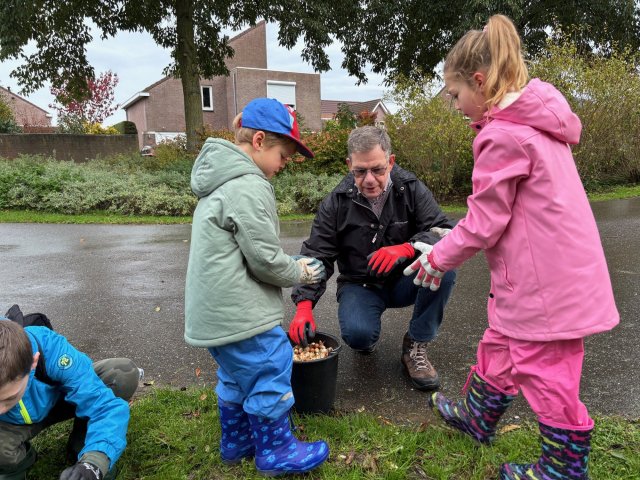 Wethouder Hub Meuwissen plant enkele bloembollen samen met kinderen van scoutinggroep Jeanne d’Arc Susteren