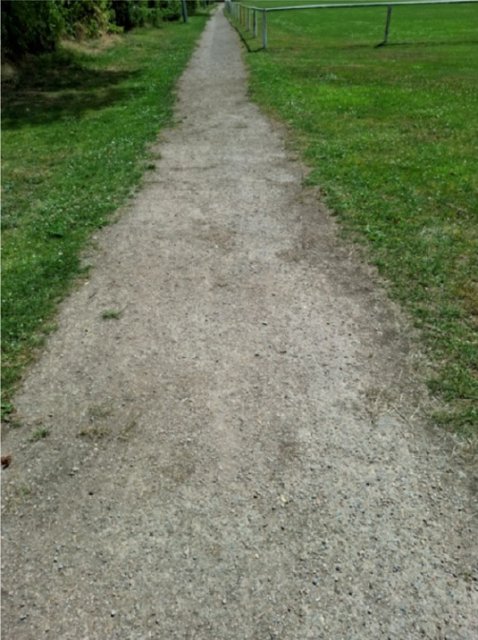 Pad op sportpark De Krekelzank