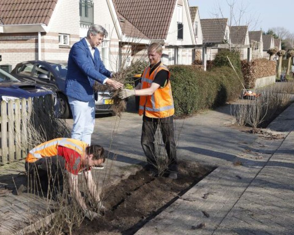 Opknappen plantvakken