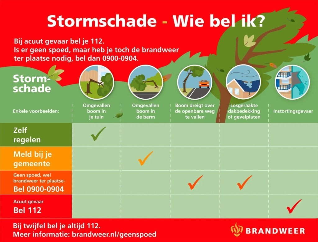 Infographic over stormschade