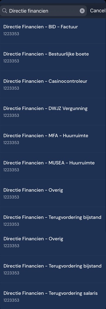 Third step: all possible payments for Directie Financien