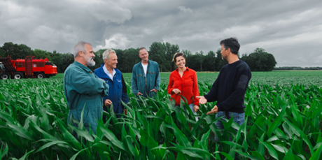 Een groepje mensen staan tussen het gras in een weiland.