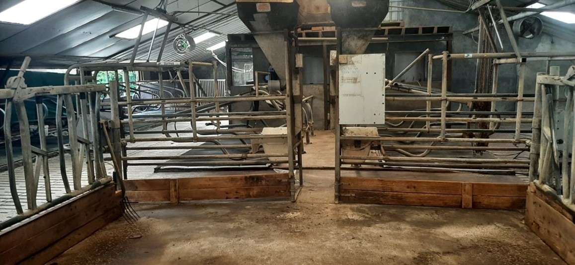 Voerboxen in een stal