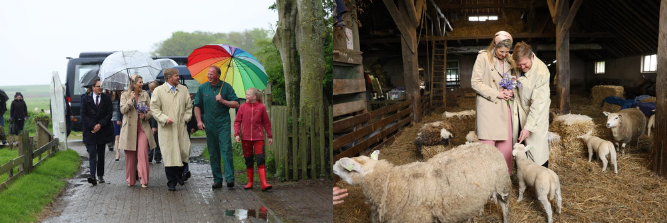 Het koningspaar wordt ontvangen door de eigenaar van de boerderij en rechts staat het Koningspaar bij de lammetjes