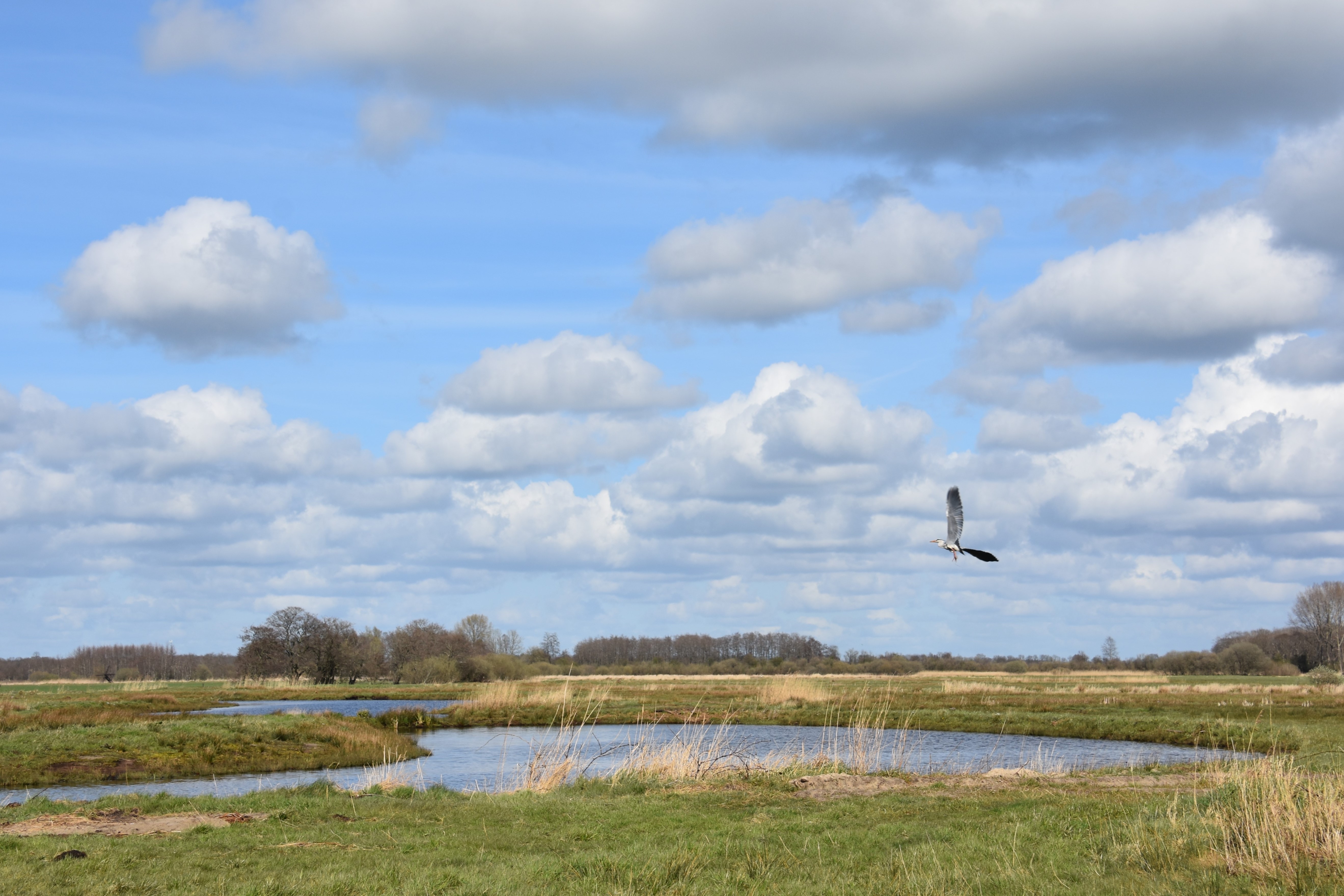 Een groene weide met in het midden een meer en een blauwe lucht met wolken . Een vogel vliegt over het meer.