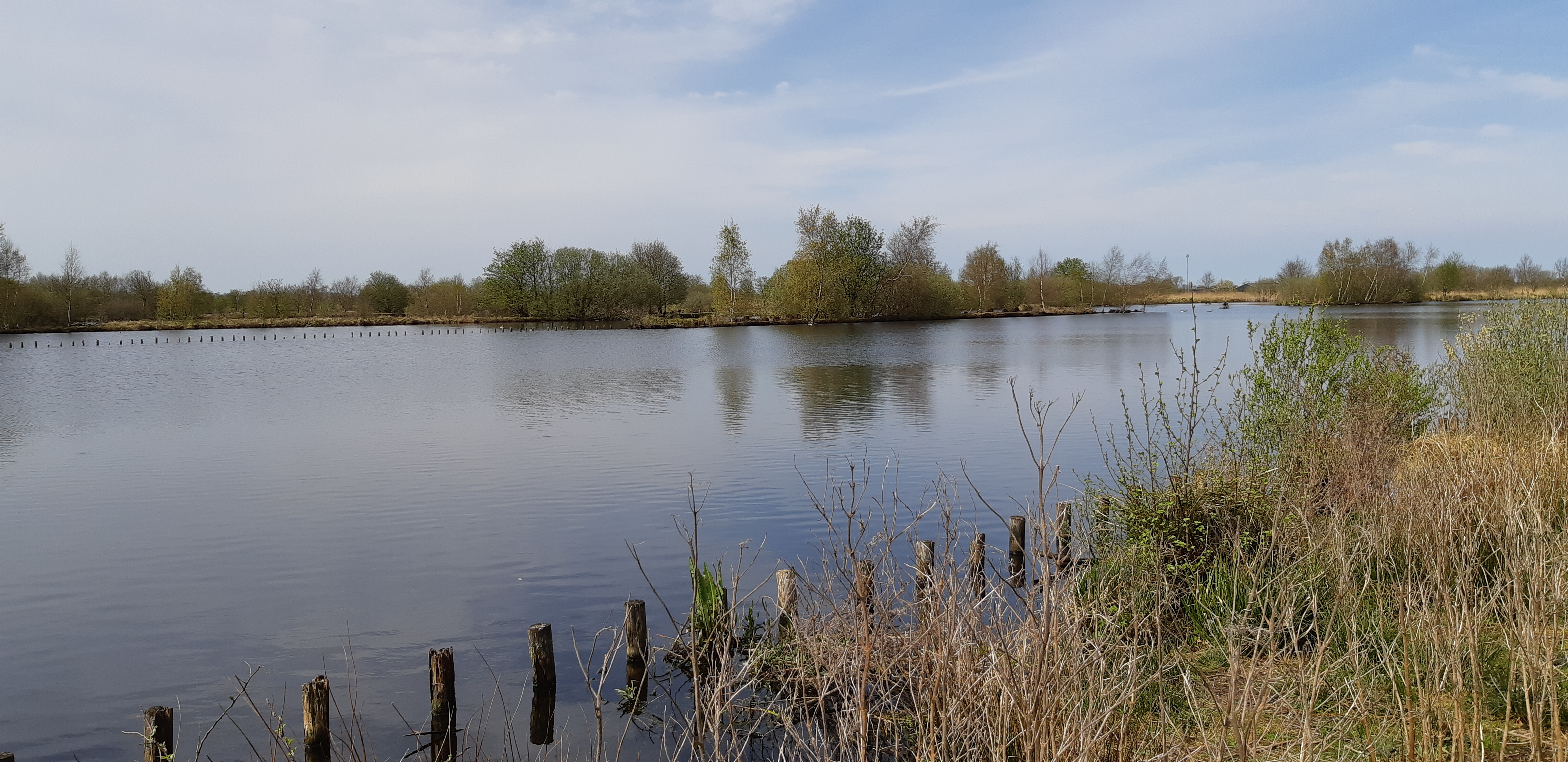 Water in De Deelen omringd door gras en bomen.