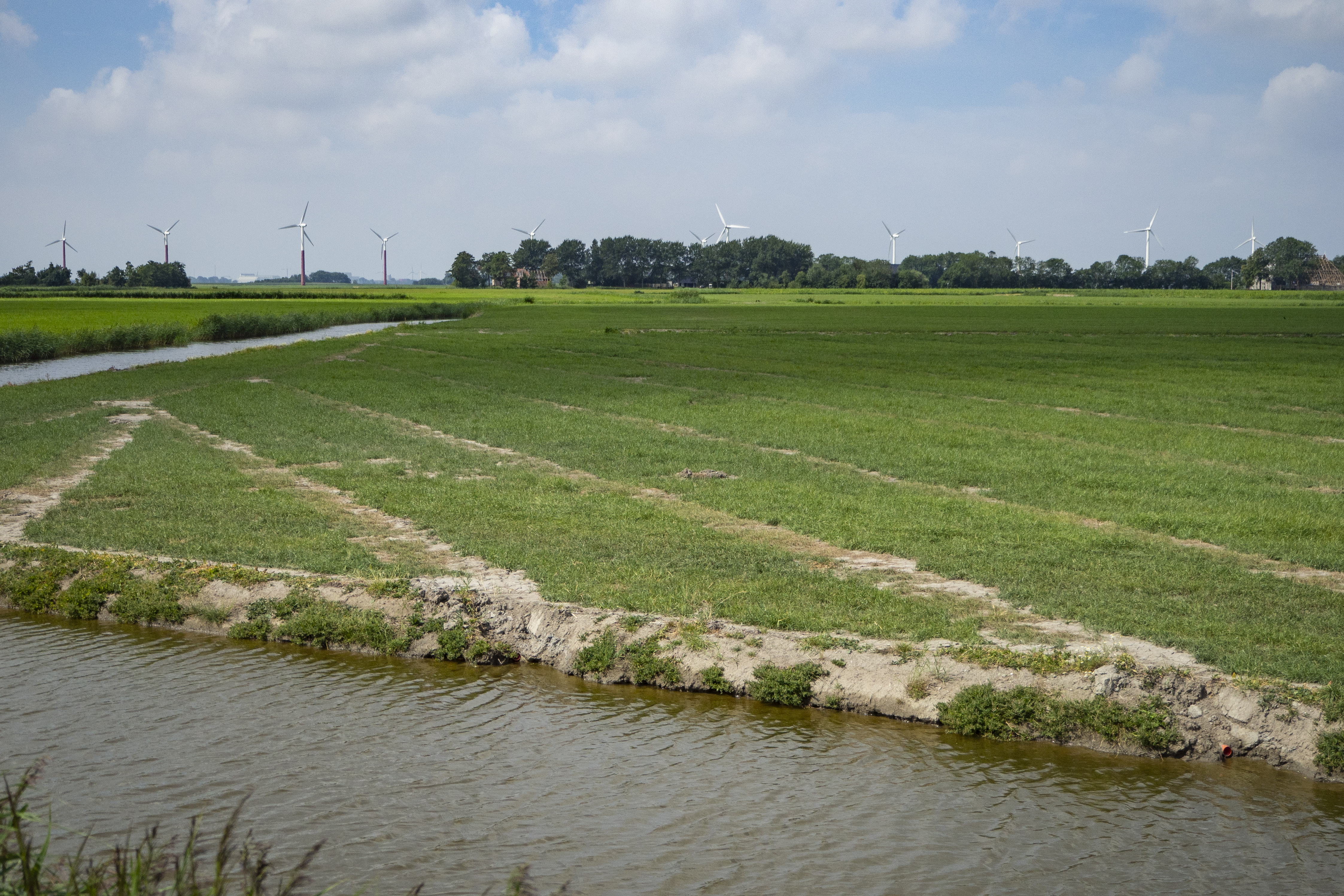 Een weiland waar strepen van zand overheen lopen waar de drainage aangelegd is.