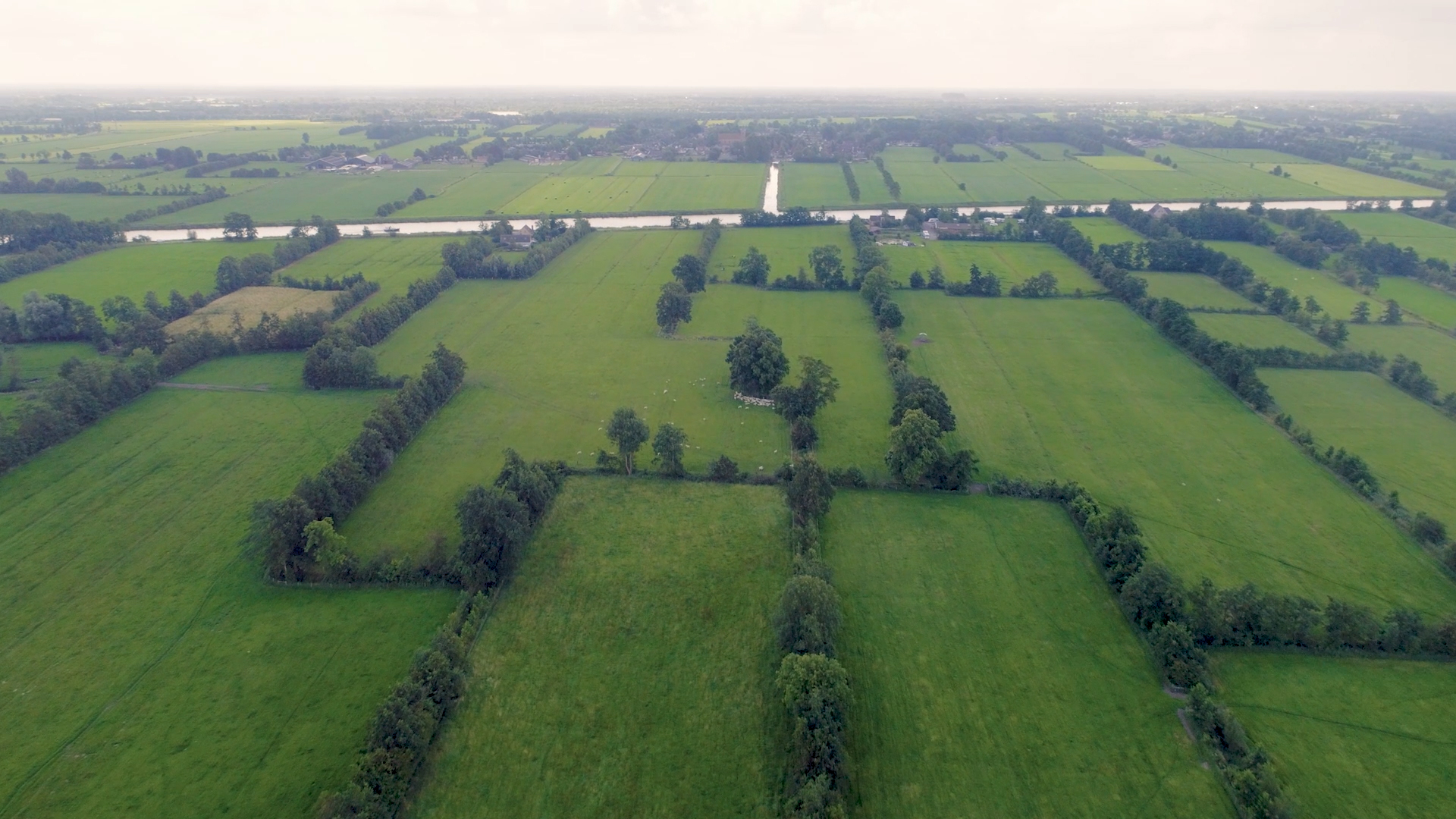 Een foto van bovenaf gemaakt door een drone. Hier staan graslanden onderverdeeld in vlakken en omzoomd door  bomen.