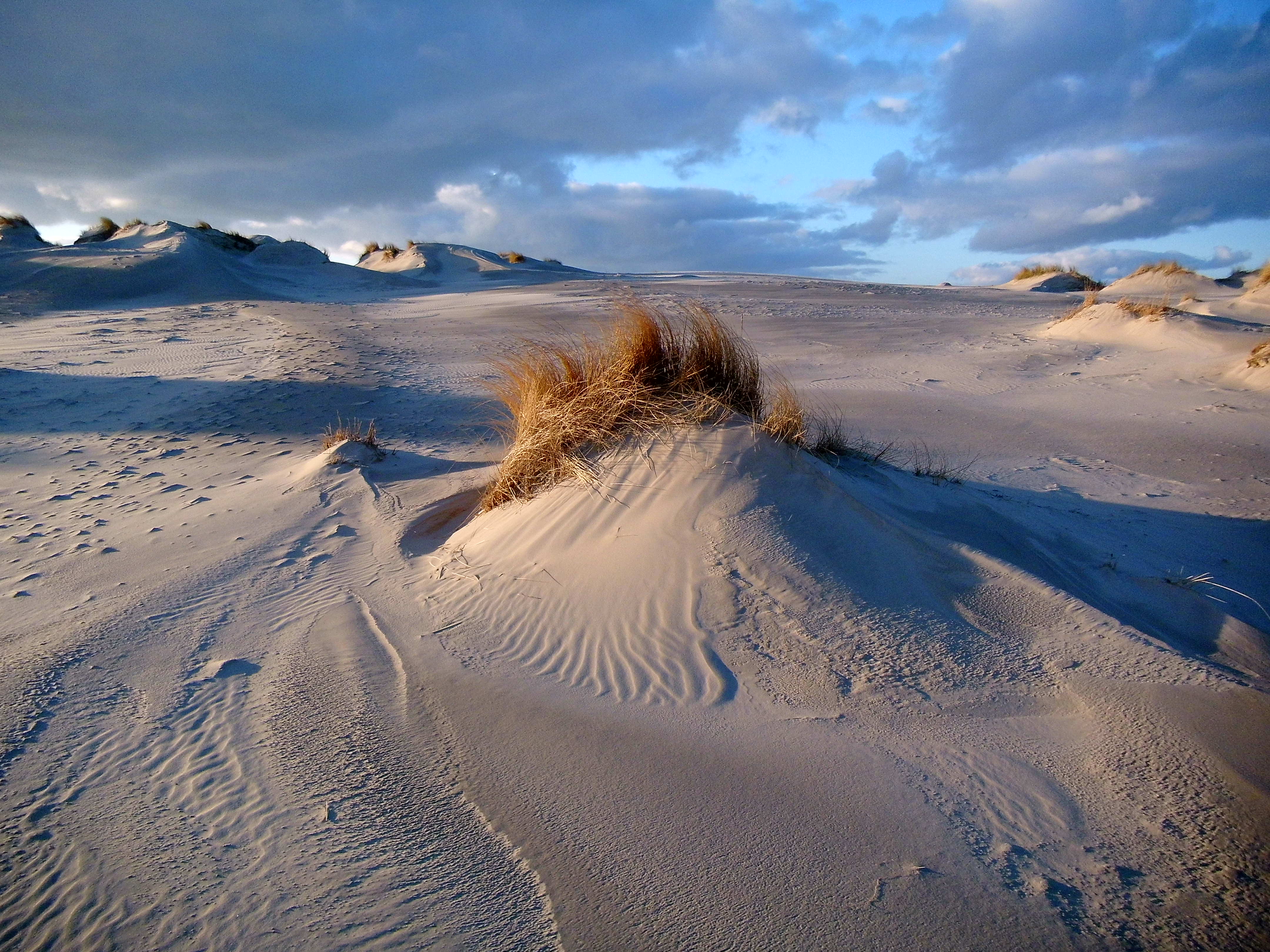 Duinen Terschelling