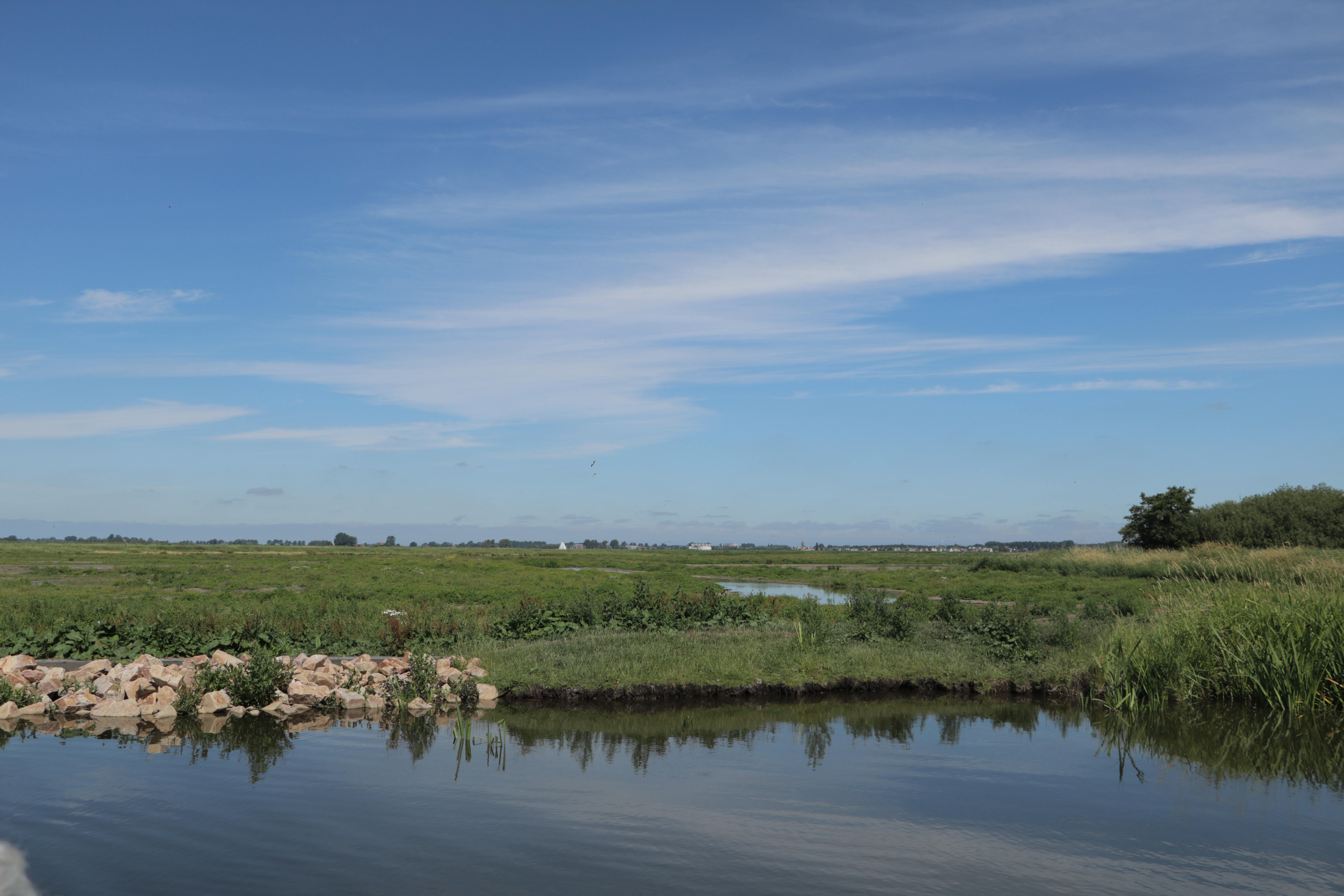 Water en weiland in het Friese Merengebied.