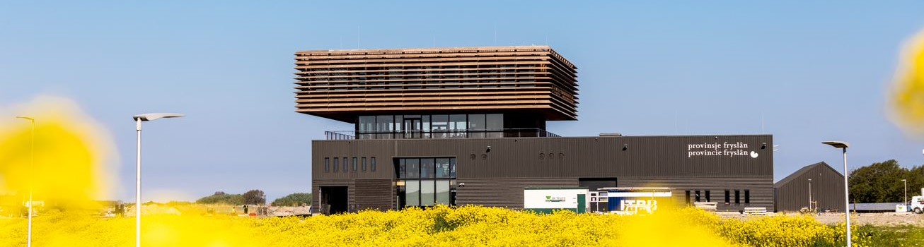 It Swettehûs met een gele bloemenzee er voor