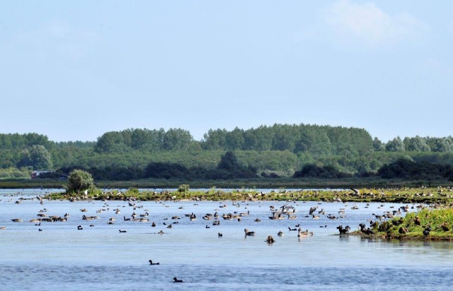 Lauwersmeergebied.