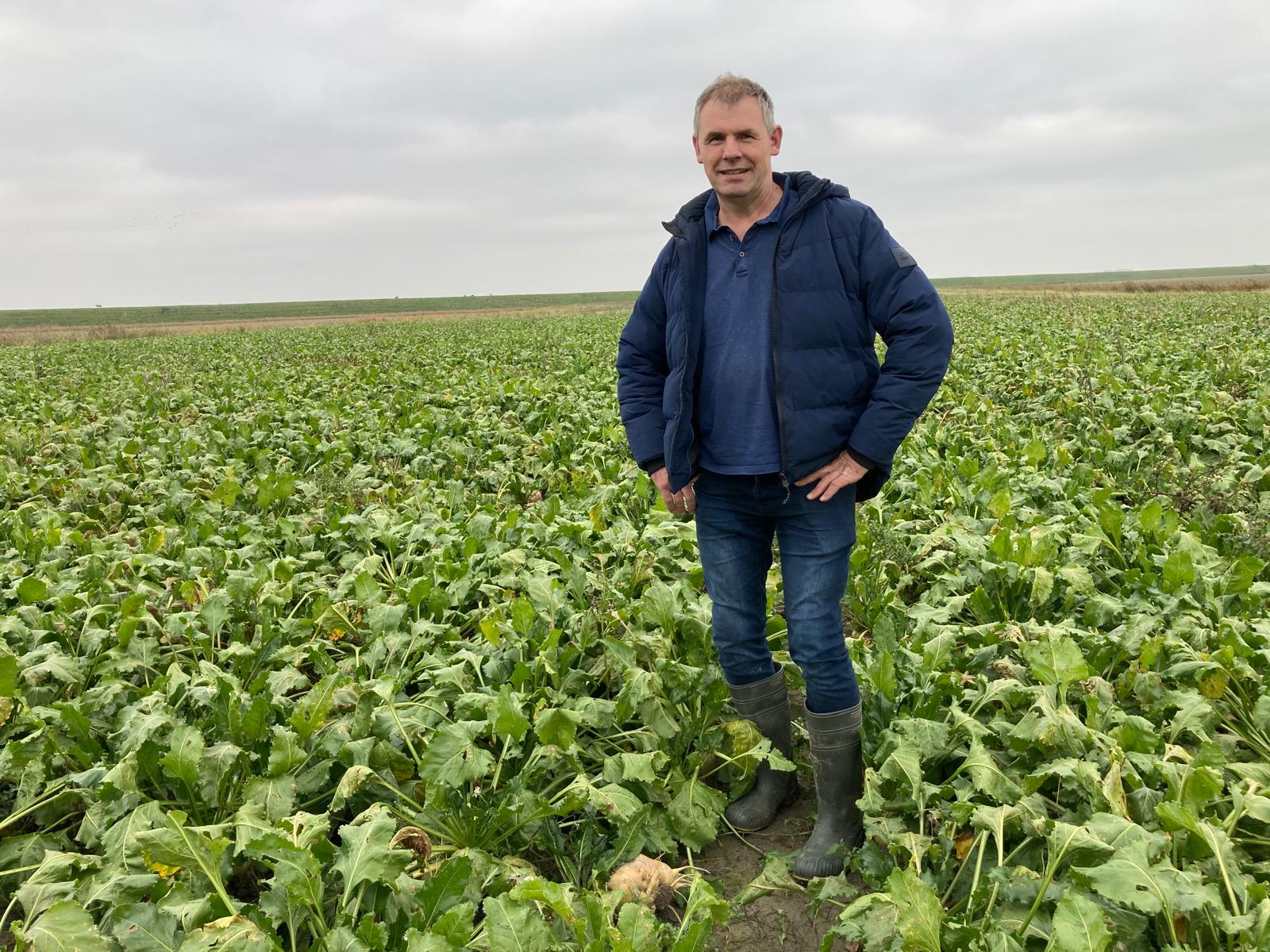 Bert Holtsema staat in een veld vol suikerbieten.