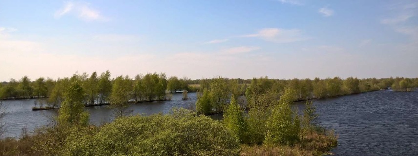 Verschillende waterstromen die omringd zijn door bomen in Rottige Meenthe en Brandemeer.