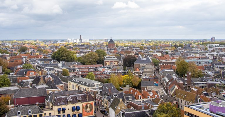 Een uitzicht over de stad Leeuwarden met in het midden de torentjes van het provinciehuis.