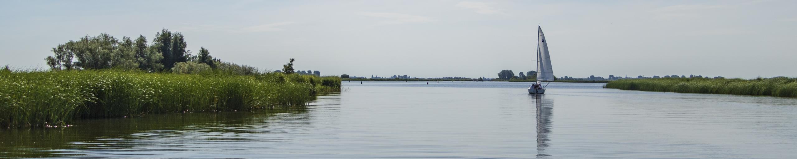 Zeilboot vaart op de Friese wateren in een natuurgebied