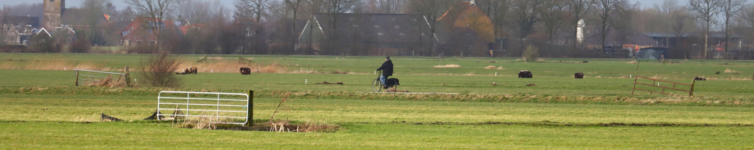 Een weiland waar een eenzame fietser doorheen fietst en op de achtergrond een boerderij met bomen