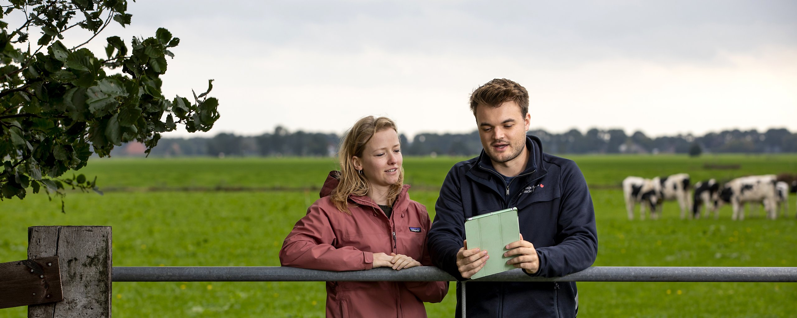 Twee mensen staan bij een hek naar een boekje te kijken. Op de achtergrond staan koeien in de wei.