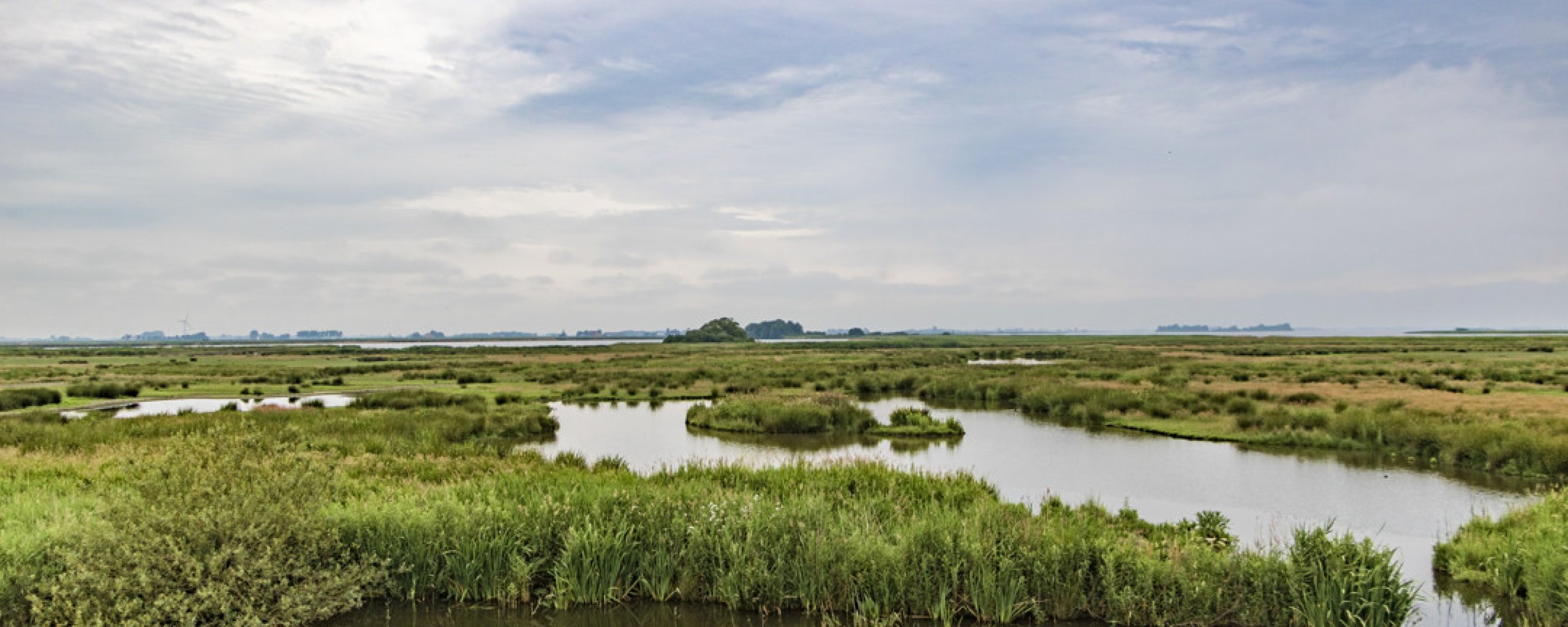 Polder en plassen bij Koudum.