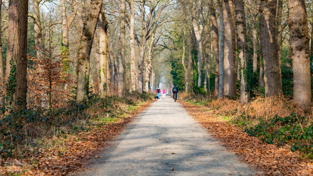 Lanenplan Oranjewoud