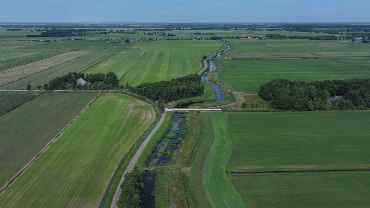Natuurherstel Nijdjip zorgt voor meer ruimte voor planten, dieren en schoon water