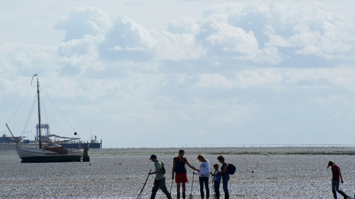 WadNext: De toekomst van duurzaam toerisme