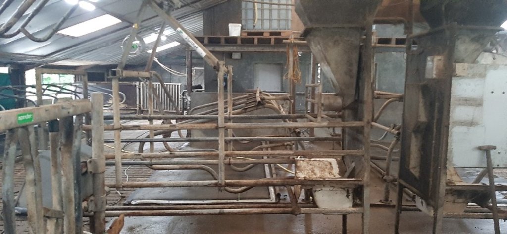 Twee voerboxen in een stal