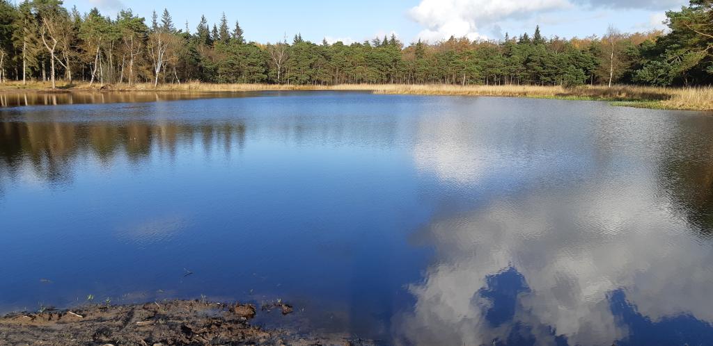 De poel bij oude bosch omzoomd door bomen en een reflectie van de wolken in het water