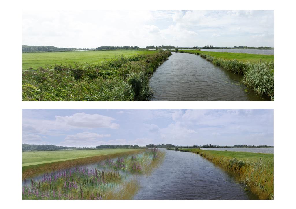 meertje met aan beide kanten weiland. op de bovenste foto is het weiland groener en begroeider als op de tweede foto.