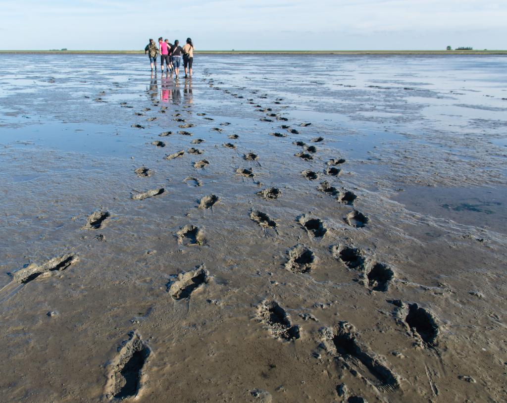 Een groepje mensen zie je aan de horizon verdwijnen in het wad en laten allemaal voetstappen na in het natte zand