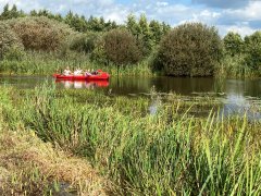 Een paar mensen zitten in een knalrode kano op het water tussen de bomen.