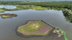 Een klein groen eilandje in het midden van water met daar om heen bos en veel groen.