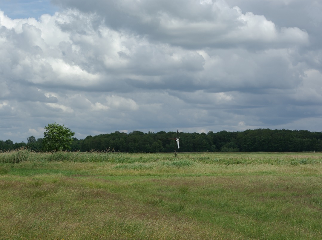 Landschap van gras en bomen in Van Oordt's Mersken.