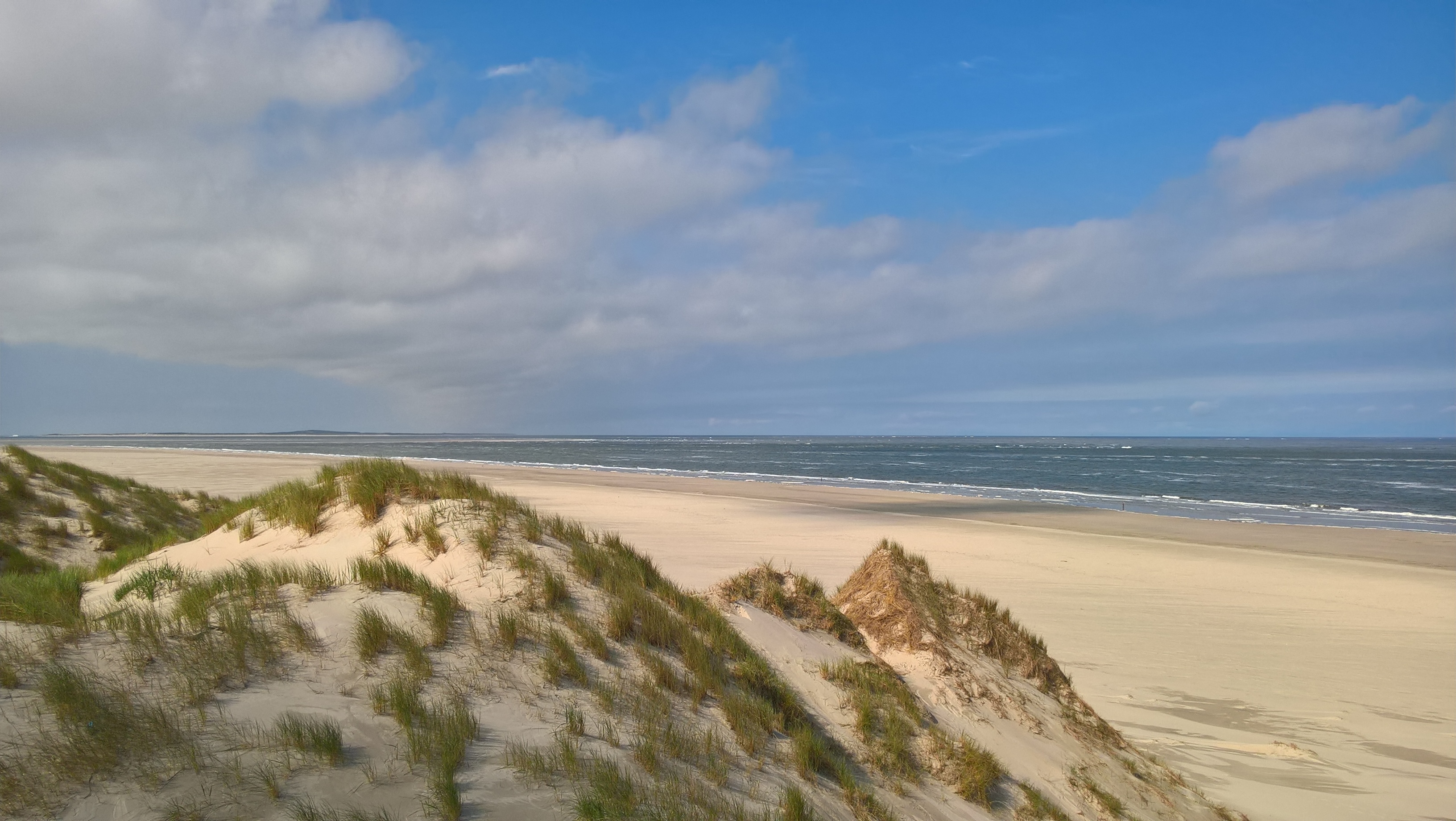 Strand met duinen op de voorgrond