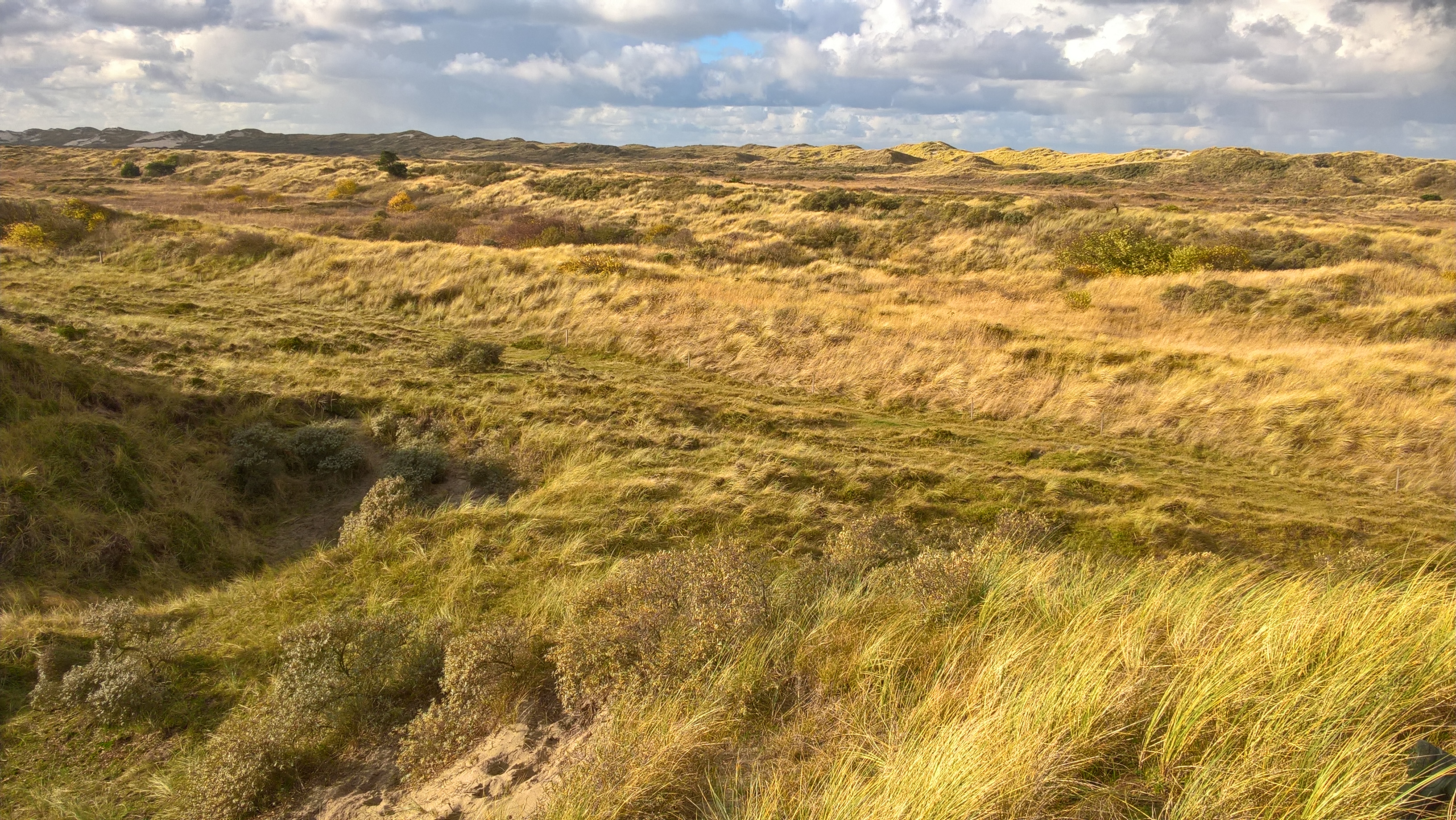 duinen met op de achtergrond een bewolkte lucht