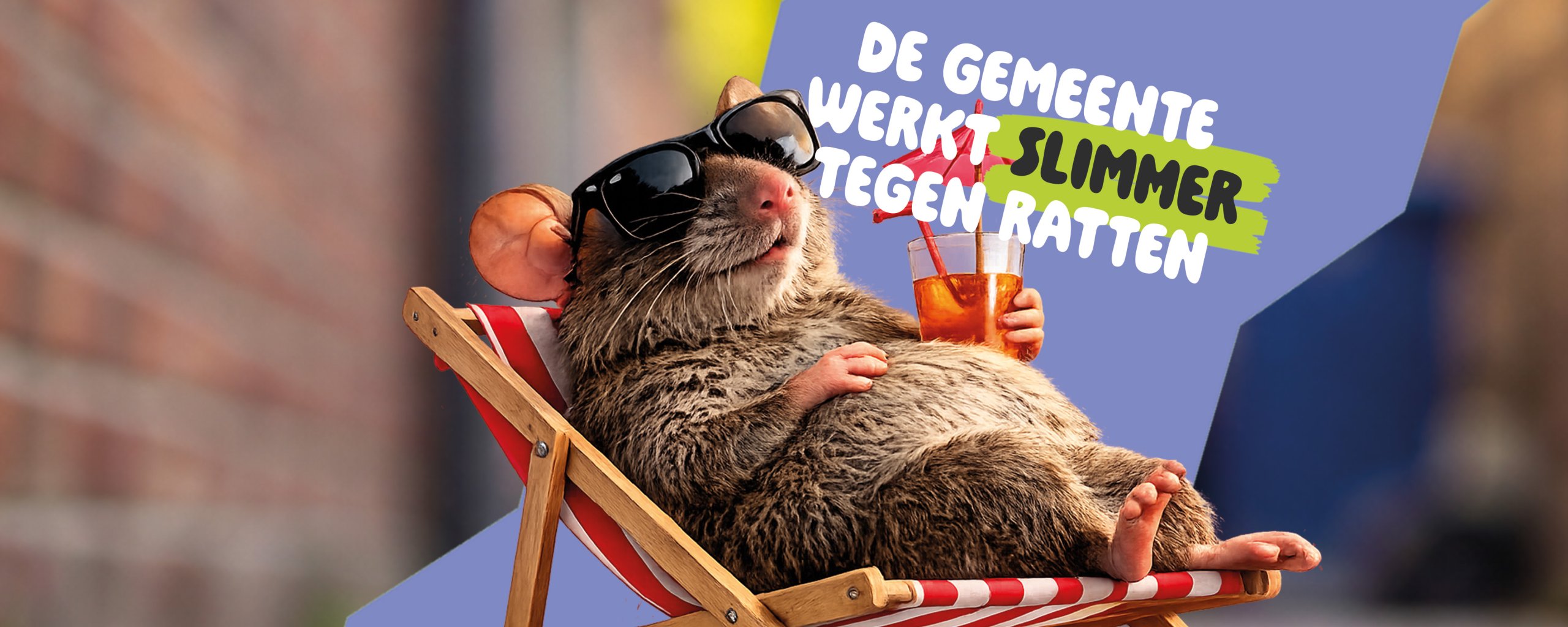Banner ratten met tekst de gemeente werkt slimmer tegen ratten