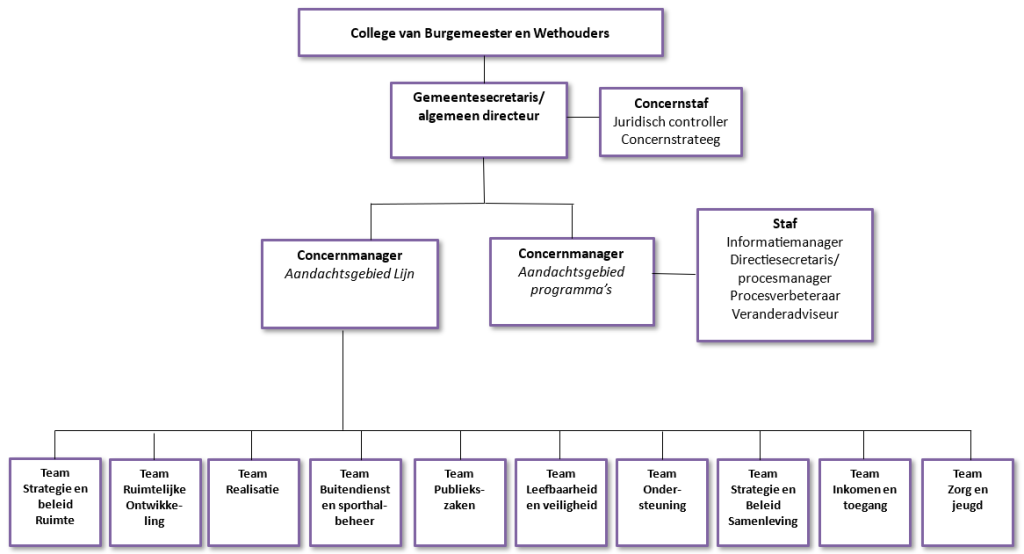 Schematische weergave van de organisatiestructuur