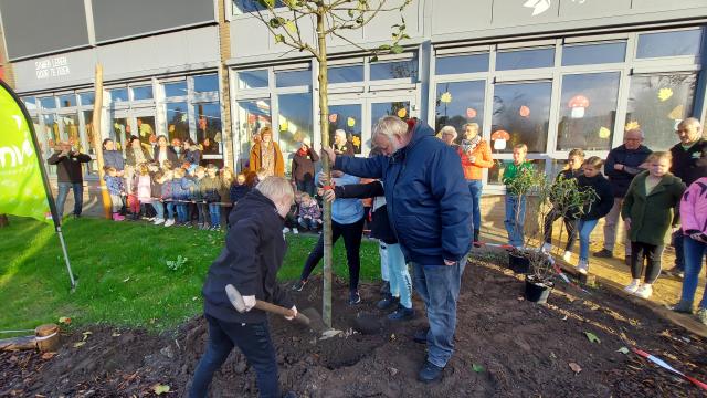 Kinderen en wethouder planten boom bij school Geldrop