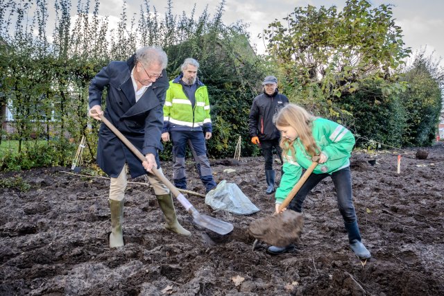 Wethouder Hans van de Laar schept zand uit de grond om een nieuwe boom te plaatsen
