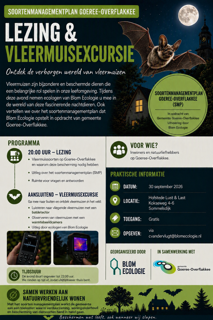 Flyer lezing en vleermuisexcursie
