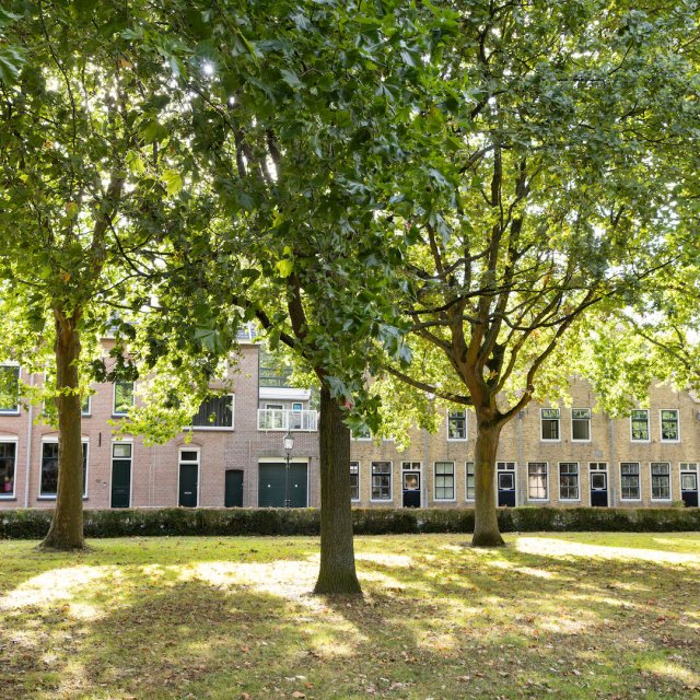 Middelharnis