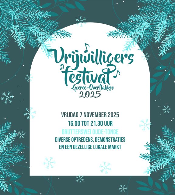 Vrijwilligersfestival flyer