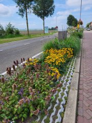 Langeweg in Ooltgensplaat