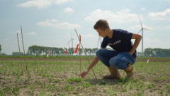 Student aan het werk in de Van Pallandtpolder