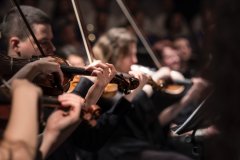 Foto cultuur; orkest