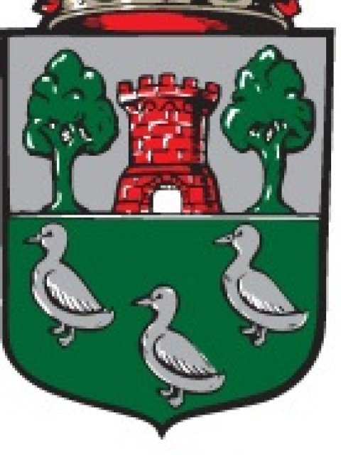 Gemeentesecretaris Natacha van Eck