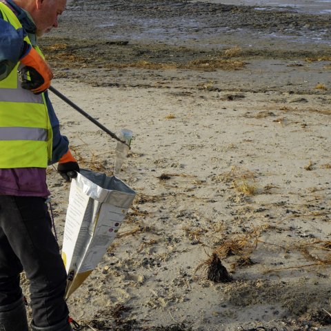 Rommelrinner op het Harlinger strand