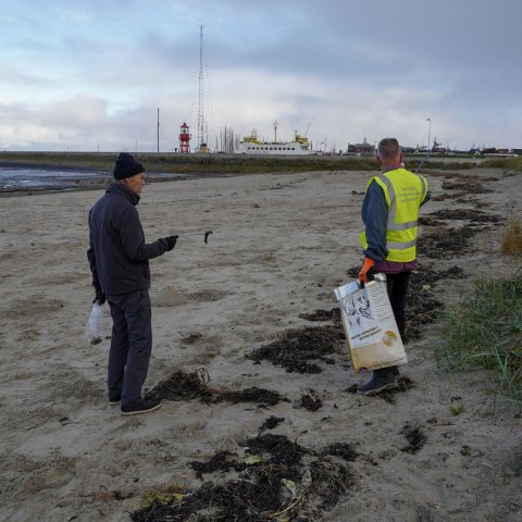 Rommelrinners op het Harlinger strand