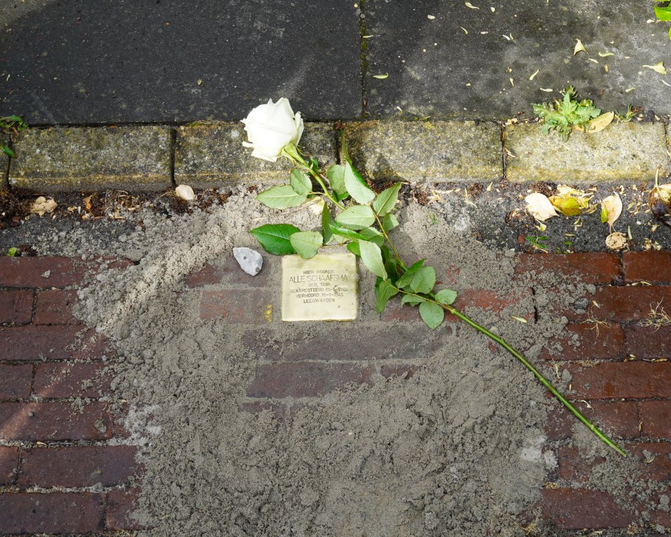 Net geplaatste struikelsteen Alle Schaafsma